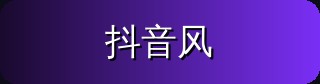 抖音风